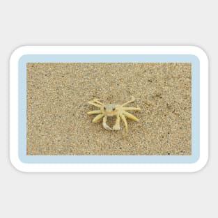 Crab Sticker